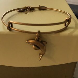 Alex and Ani dolphin bracelet